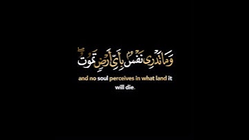 كرومة شاشة سوداء بصوت الشيخ راس  الاركاني من سورة لقمان