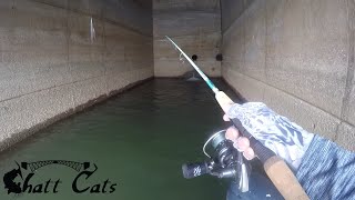 Fishing The Turbine Holes For Catfish