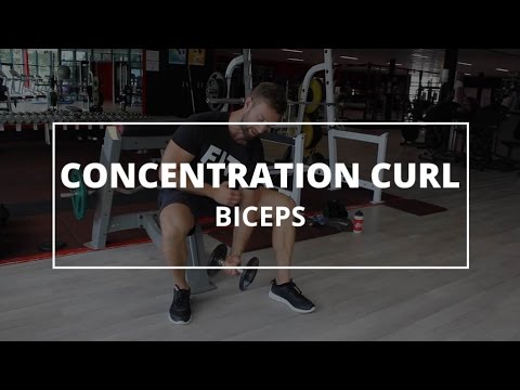 Uitleg van de Concentration Curl