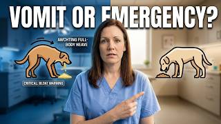 Famous Dog Throwing Up Yellow Bile? Here's Why—And What To Do Net Worth