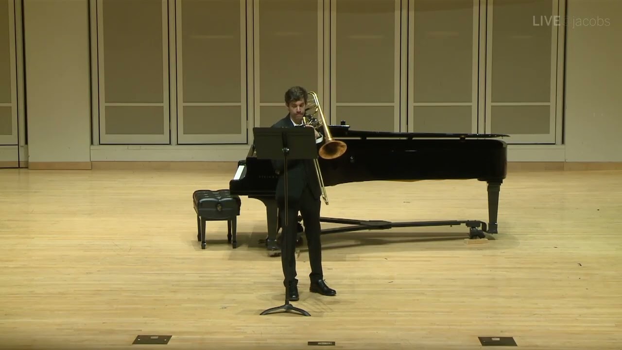 Through Sun-Painted Panes (2025)