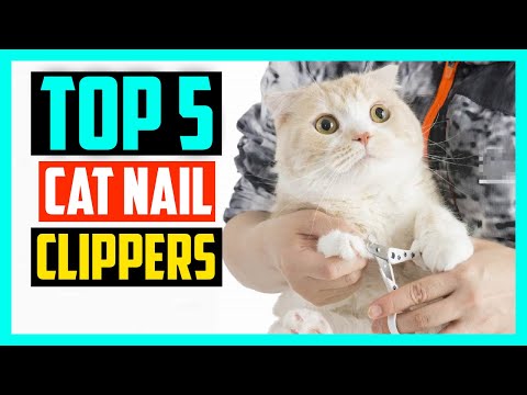 Video: The Best Clippers til Cat Nails