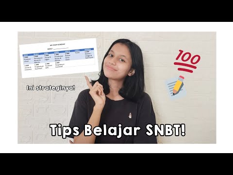 Strategi Belajar SNBT yang Efektif!