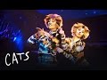 Mungojerrie and Rumpelteazer | Cats the Musical