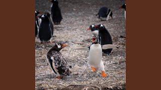 Logan Your Farts Are Too Loud Logan Poop