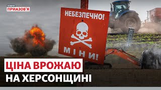 🔴 Втричі більше полів засіють у Херсонській області. Яким буде врожай?