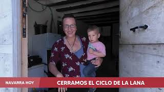 NAVARRA HOY: La lana de la oveja, una manta para las viñas #navarra