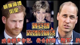 26年前，戴安娜离婚后痛哭，15岁威廉安慰母亲：我会封你为殿下#威廉王子 #princessdiana #梅根 #黛安娜