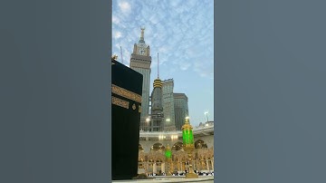 تلاوة هادئة من سورة فصلت للشيخ ناصر القطامي
