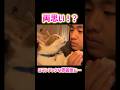両思い⁉️ロマンチックな関係💕 #cat #猫 #かわいい #爆笑 #pets #ペット #funny #shorts