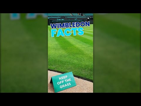 The science behind the PERFECT Wimbledon grass #tennis