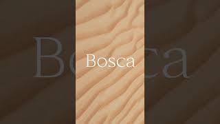 Best Serif Fonts motion graphic designers
