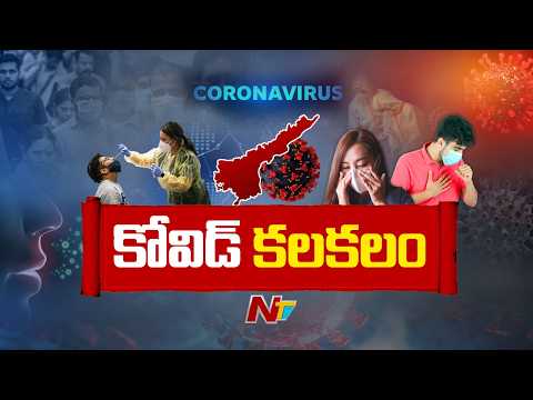 COVID Cases Rise Again in Andhra Pradesh | CM Chandrababu Reviews Situation | NTV Telugu - NTVTELUGU