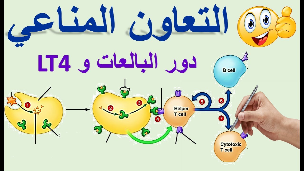 التعاون المناعي 01