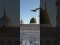 Madina Sharif ❤️🤲 // #trending #shortsfeed #viralvideo #shortvideo #love