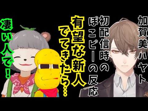 加賀美ハヤト初配信の時のぽこピー反応【ぽこピー切り抜き】