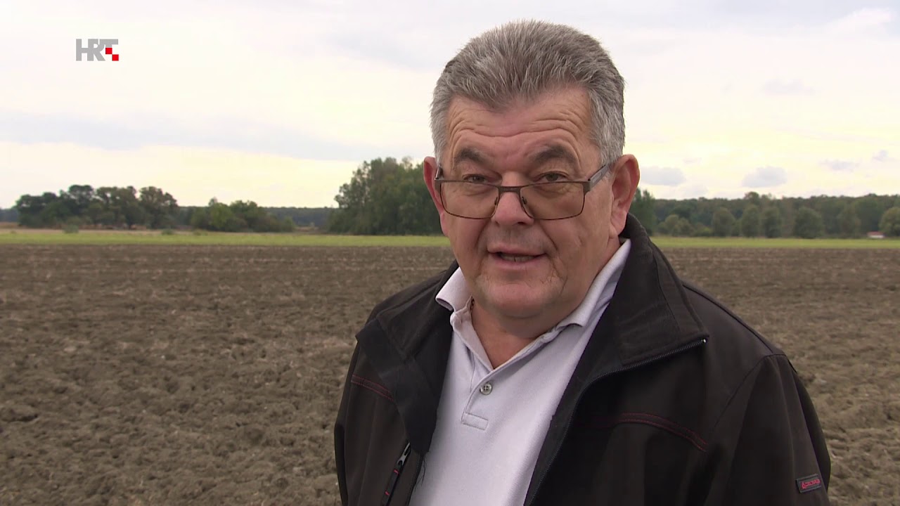 LABIRINT _ TUŽNA SLAVONSKA SVITANJA