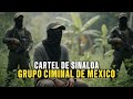 Dentro del Cartel de Drogas más Peligroso del Mundo ｜ Documental