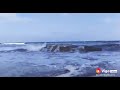 كوكتيل الاحلام