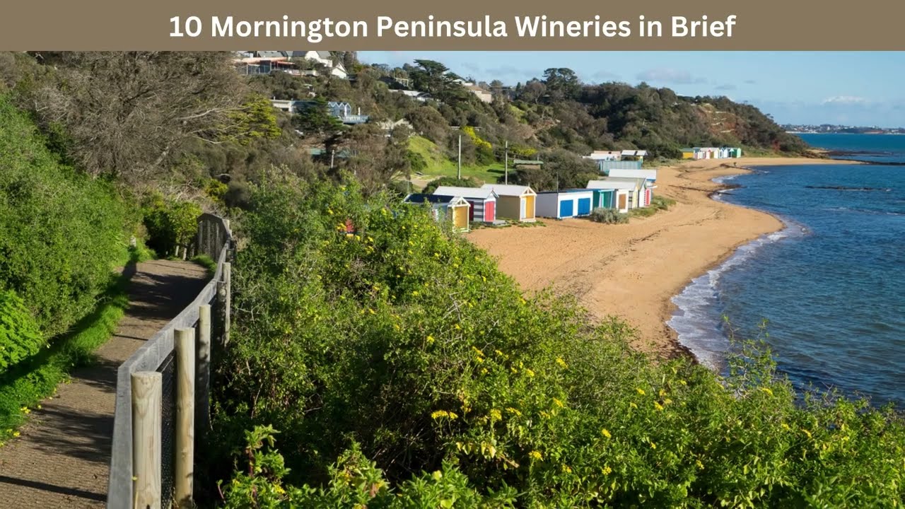 10 Mornington Peninsula Wineries in Brief