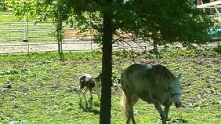 DSCF4669.AVI
