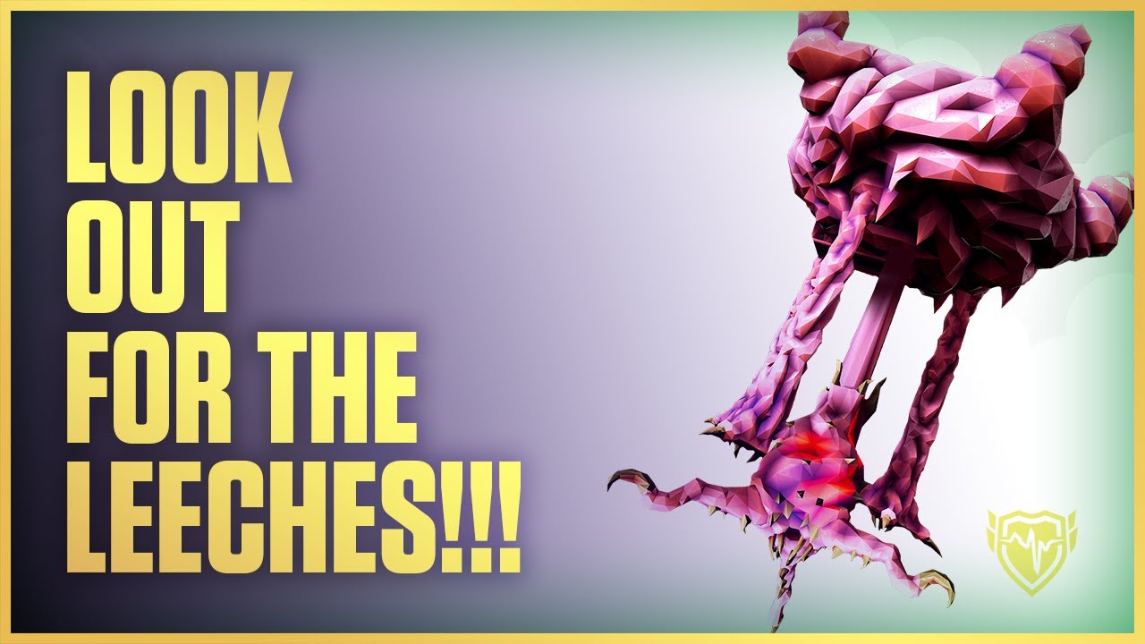 LEECHES! Careful Of The Leeches