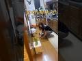 갑자기 뛰쳐나간 일본인 와이프