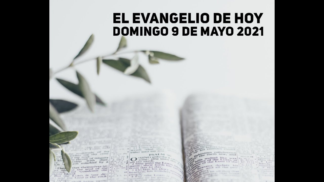 Evangelio Del 9 De Mayo 2021