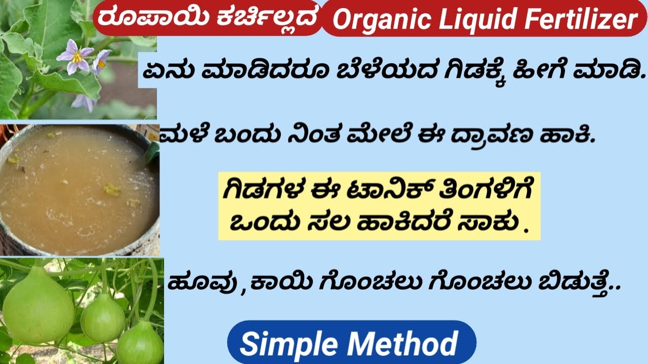 Organic NPK Liquid Fertilizer/How to make Liquid Fertilizer at Home