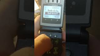 Motorola V66 ringtones