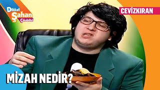 Mizah Zeka Gerektirir Mi? - Dikkat Şahan Çıkabilir