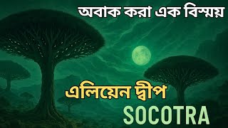 পৃথিবীর বুকে এক এলিয়েন জগৎ | পৃথিবীর সবচেয়ে রহস্যময় দ্বীপ! #সুকাত্রা_দ্বীপপুঞ্জ #রহস্য_অনুসন্ধান