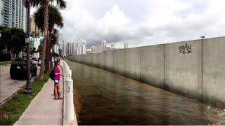 Plan ongoing to help Miami-Dade coastline from climate change impact