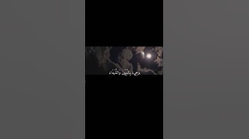 ﴿وَأَشْرَقَتِ الْأَرْضُ بِنُورِ رَبِّهَا وَوُضِعَ الْكِتَابُ﴾تلاوة خاشعة بصوت الشيخ#ماهر_المعيقلي🌿💗