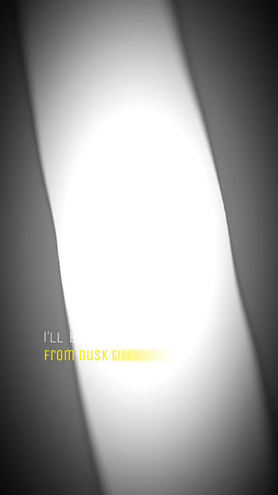 dusk till dawn remix