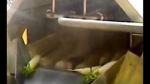 Máy rửa củ cải, cà rốt, máy chà rửa củ quả, máy rửa khoai lang, khoai môn, khoai tây LH 0909134877