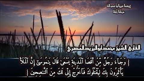 تلاوة رائعة مكتوبة الآيات من سورة القصص للشيخ محمد أبو اليزيد المصري