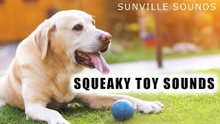 Squeaky Dog Toy | Annoying Sounds with Peter Baeten