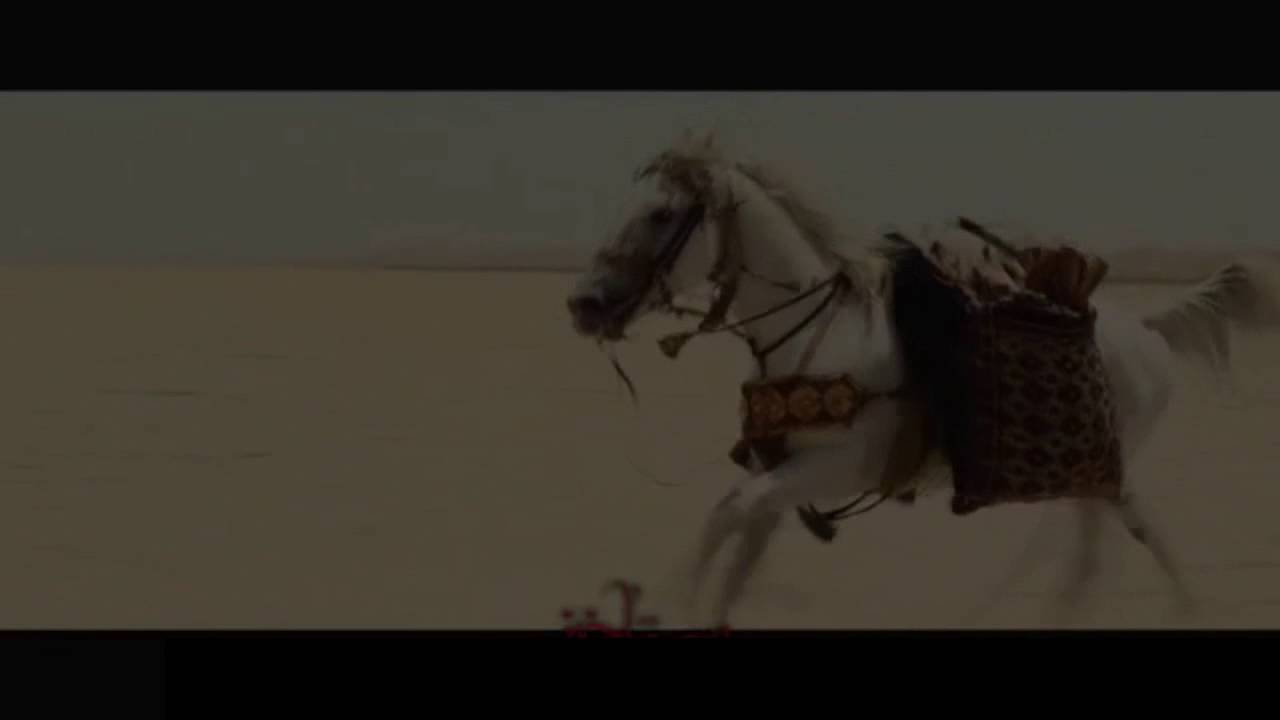 اعلان مأتم السجاد عليه السلام بالعوامية لإحياء ذكرى استشهاد الامام الحسين عليه السلام.لعام 1438