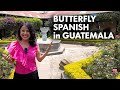 Exploring Guatemala: Language, Culture, and Landscapes