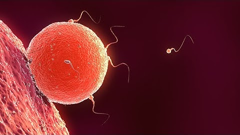 Shaded Vertex - Lighting DemoReel 2019