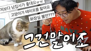 우리집 고양이 왜 이럴까⁉️ [Q&A]