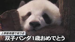 双子パンダ１歳おめでとう　上野動物園で祝う会