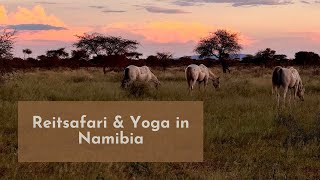 Reitsafari & Yoga Retreat in Namibia