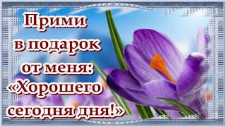 ПРИМИ В ПОДАРОК ОТ МЕНЯ ! ХОРОШЕГО СЕГОДНЯ ДНЯ !! МУЗЫКА СЕРГЕЙ ЧЕКАЛИН !