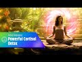 Use the 741 Hz Frequency for a Powerful Cortisol Detox: Find Inner Balance: Ultimate Sound Frequency
