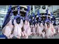 Chicken Meat Production Process Quiz
