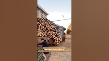 The Art of Loading and Unloading Bamboo:A Woman