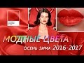 МОДНЫЕ ЦВЕТА Осень - Зима 2016 - 2017