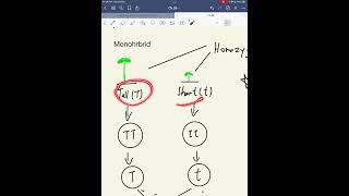 [DSE Biology] 一嘢搞清Basic Genetics | Basic Genetics | HAHAHA Education